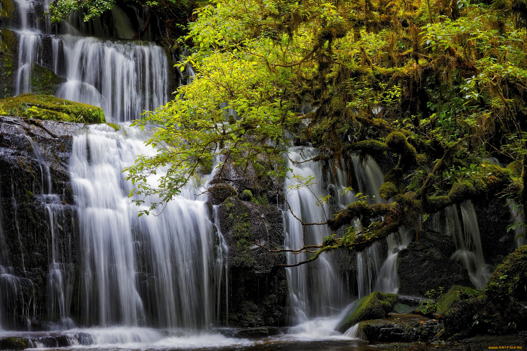, , new, zealand, , , , tarara, , purakanui, falls, , otago, , 